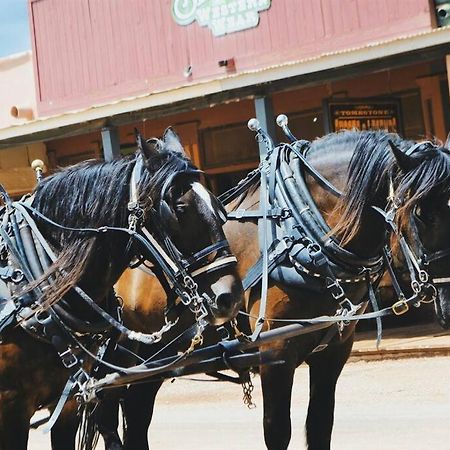 Silver Spur Homestead Luxury Glamping - The Cowboy تومبستون المظهر الخارجي الصورة