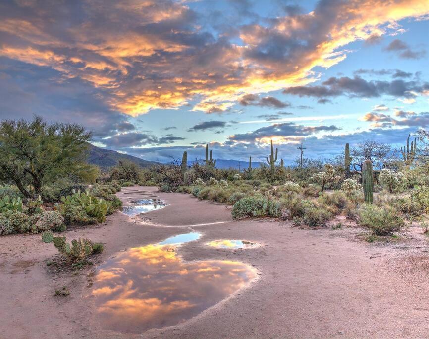 Silver Spur Homestead Luxury Glamping - The Cowboy تومبستون المظهر الخارجي الصورة
